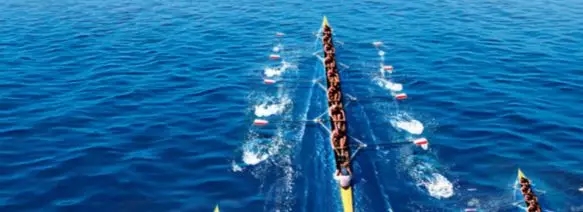 1558343816984023919.jpg 1558343816984023919.jpg